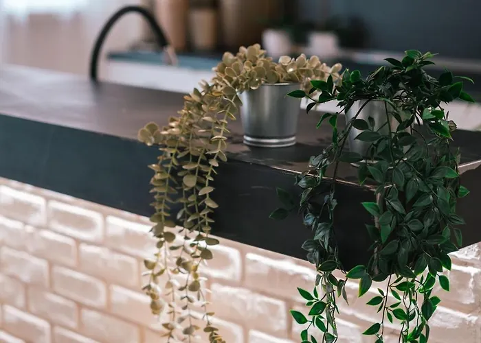 Suitefrattini Degli Eroi Affittacamere